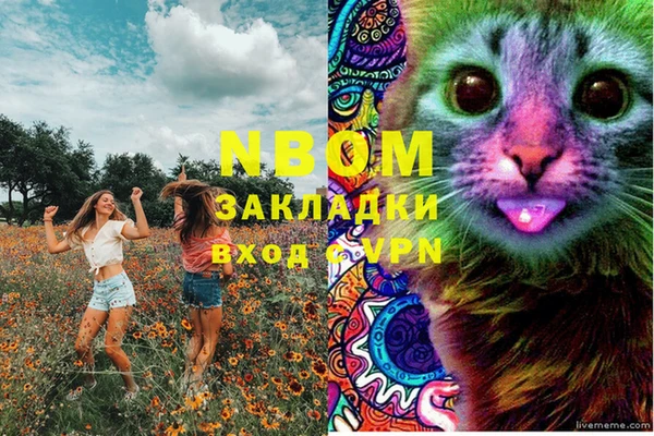 шишки Балахна