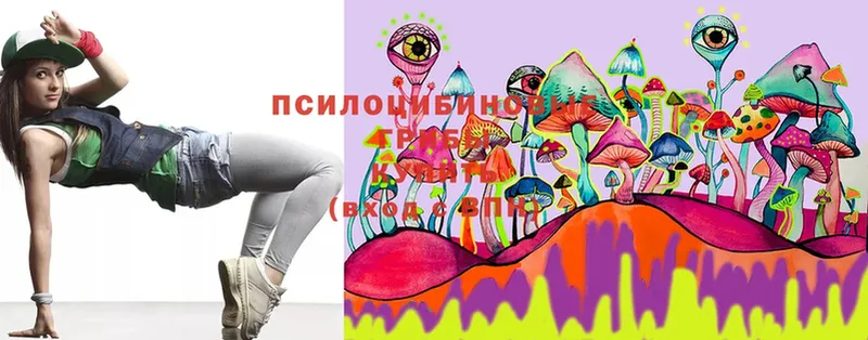 Галлюциногенные грибы MAGIC MUSHROOMS  дарнет шоп  Бийск 